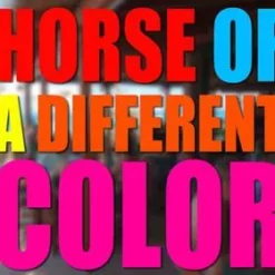 [Magic Video] Dave Johnson - Horse of a Different Color