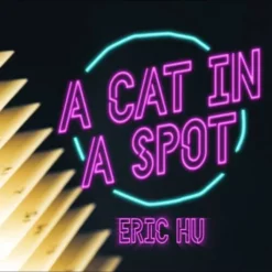 [Magic Video] Eric Hu – A Cat in a Spot (FullHD quality)