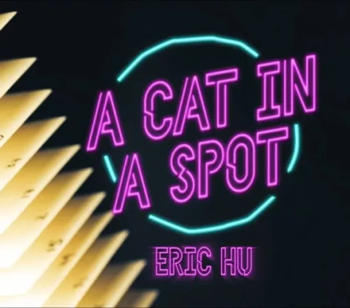 Eric Hu – A Cat in a Spot (FullHD quality)