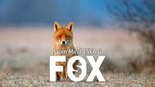 Esya G – Fox Download INSTANTLY ↓