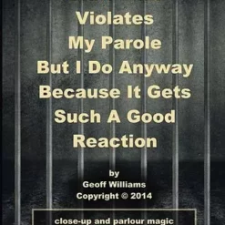 Geoff Williams – Stuff That Violates My Parole: (But I Do Anyway Because It Gets Such A Good Reaction)