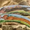 [Magic Video] Paul Draper – HOT DOG! (Video + template)