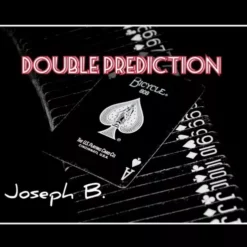 Joseph B. – DOUBLE PREDICTION (Instant Download)