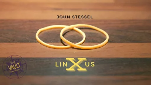 The Vault – Linxus by John Stessel