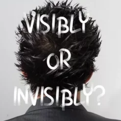 Emerson Rodrigues – Visibly or Invisibly?