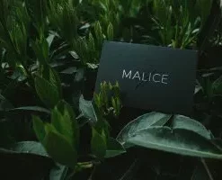 Malice by Lost Art Magic