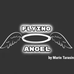 Mario Tarasini – Flying Angel