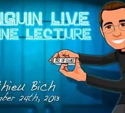 Mathieu Bich Penguin Live