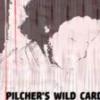 Matt Pilcher – Pilcher’s Wild Card