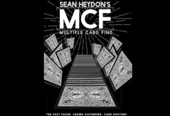 MCF (Multiple Card Find) by Sean Heydon