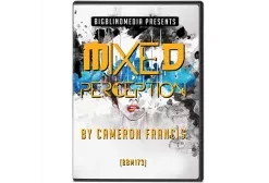 Mixed Perception by Cameron Francis