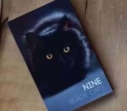 Nine Black Cats by Neemdog and Lorenzo