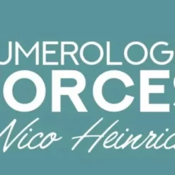 Nico Heinrich – Numerologic Forces