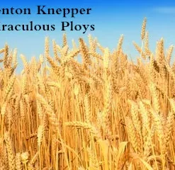 Miraculous Ploys by Kenton Knepper