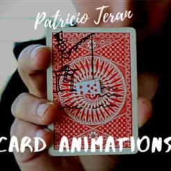 Patricio Teran – The Vault – Card Animations