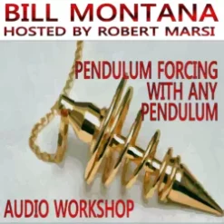 Pendulum Forcing With Any Pendulum by Bill Montana.