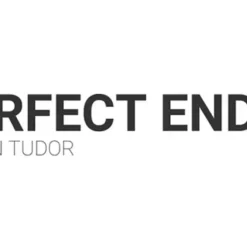 Dan Tudor – Perfect Ending