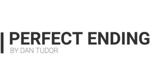 Dan Tudor – Perfect Ending