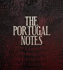 [Magic Video] Peter Turner - Portugal Notes