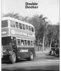 Double Decker by David Forrest