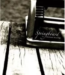 Springboard by Michael Murray.