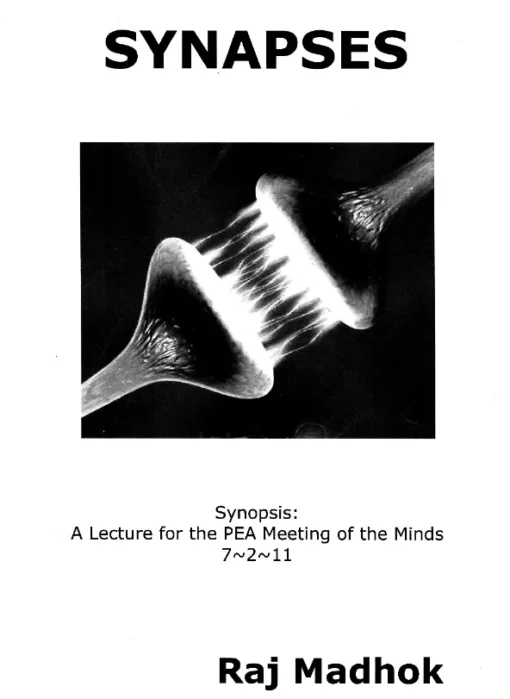 Synapses by Raj Madhok.