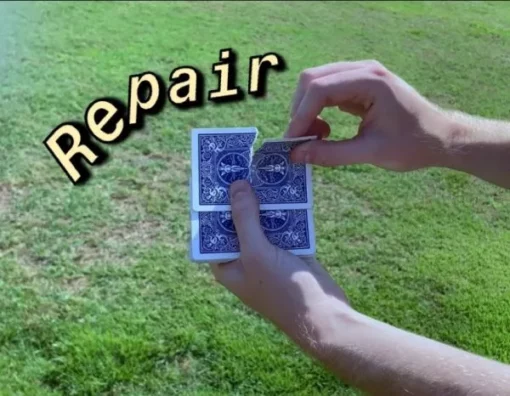 Thomas Sladky – Repair