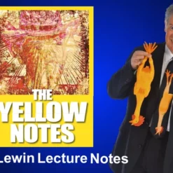 The Yellow Notes by Nick Lewin.