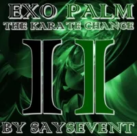 SaysevenT – EXOPALM THE KARATE CHANGE