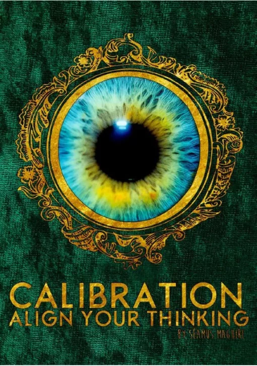 Seamus Maguire – Calibration