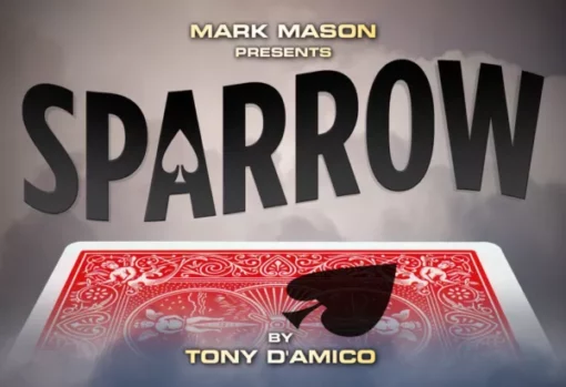 Tony D’Amico – Sparrow