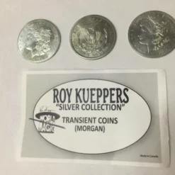 Transient Coins by Roy Kueppers