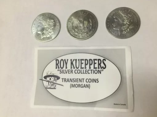 Transient Coins by Roy Kueppers