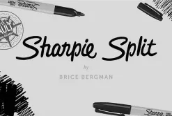 The Vault - Sharpie Split by Brice Bergman