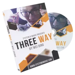 Wei Ding & system 6 – Three Way