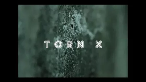 Arnel Renegado – Torn X