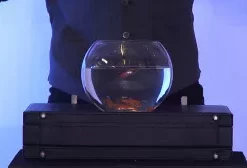 [Magic Video] ULTIMATE BOWLING BALL FROM BRIEFCASE by Richard Griffin (Gimmick Not Included)