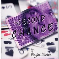 Wayne Dobson - Second Chance