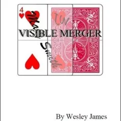 Wesley James – Visible Merger (official PDF)