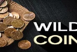 Wild Coin by Conjuror Community.