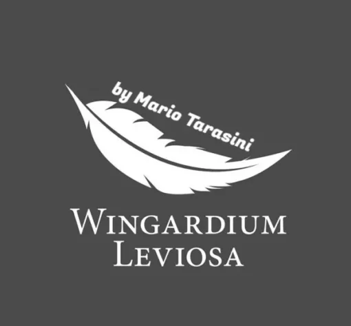 Mario Tarasini – Wingardium Leviosa