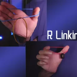 ziv – R Linking (1080p video)