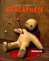 Paul Brignall - REiNCARNATE Book Test