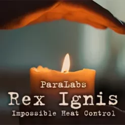 Rex Ignis 2.0 by Paralabs.