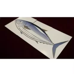 [Magic Video] Fishy Fish by Shoji