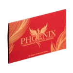 Phoenix by Hanson Chien ( Instant Download )