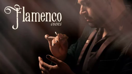 Flamenco Coins by Brendan Rodrigues ( Instant Download )