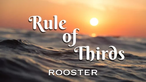 Rule of Thirds by Rooster ( Instant Download )