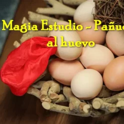 Magia Estudio - Pañuelo al huevo ( Instant Download )