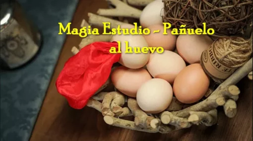 Magia Estudio - Pañuelo al huevo ( Instant Download )